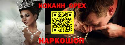 прущие грибы Будённовск