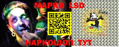 прущие грибы Будённовск